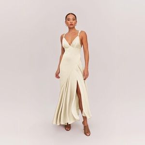 Fame and partners Zephyra champagne dress